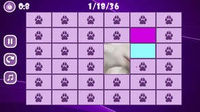 Furry Orgasm screenshot thumbnail video