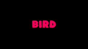 Birds Are Real Gameplay 1