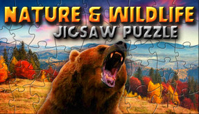Nature & Wildlife - Jigsaw Puzzle screenshot thumbnail video