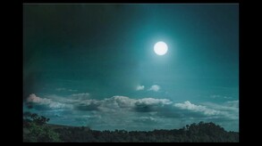 Potato Survival screenshot thumbnail video