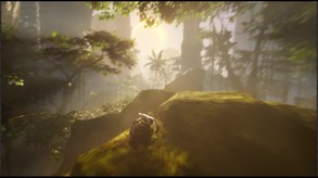 Dream Cycle release trailer