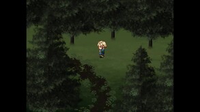 Reflections Path screenshot thumbnail video