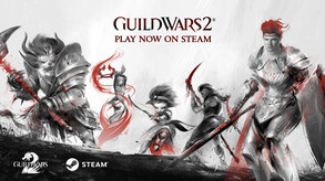 GW2_Steam_Launch_Hero_EN_US