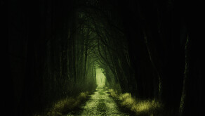 Alone Again: The Countryside - Lore Book screenshot thumbnail video