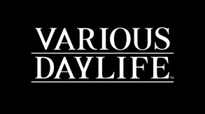 VARIOUS DAYLIFE-游戏截图