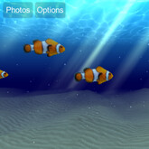 PhotoToy Annoucement