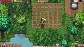 Island Berry screenshot thumbnail video