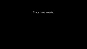 Hide & Crab Release Trailer