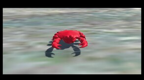 Hide & Crab Trailer