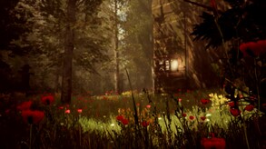 Number 217721 screenshot thumbnail video