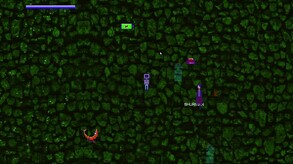 Digital Frida screenshot thumbnail video