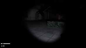 The Asher Asylum Gameplay Video