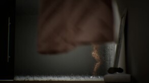 Shower Teaser