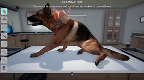 My Life: Pet Vet screenshot thumbnail video