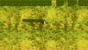 Enigma do Labirinto screenshot thumbnail video