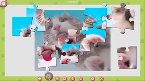 1001 Jigsaw. Cute Cats 3 screenshot thumbnail video