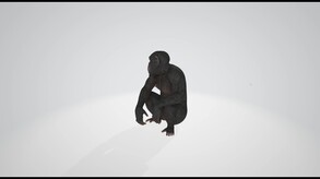 PP Trailer