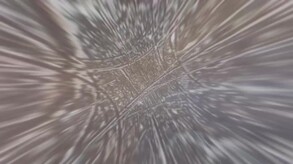 [Available in English] DRINK BAR MAID - Additional adult story & Graphics DLC screenshot thumbnail video