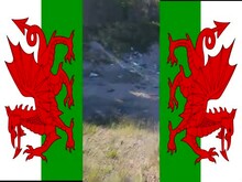 The Duke Of Somerset