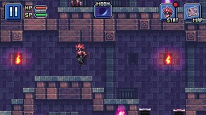 Level