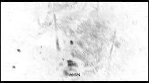 White Hot Trailer