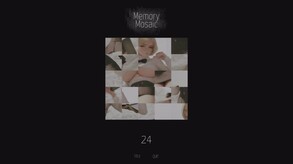 Memory Mosaic
