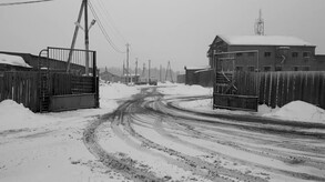 Российская психиатрическая пастораль