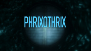 Phrixothrix screenshot thumbnail video