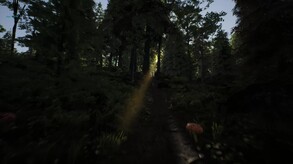 Pre Teaser: The first walk in the forest.