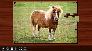 Jigsaw Puzzle World screenshot thumbnail video