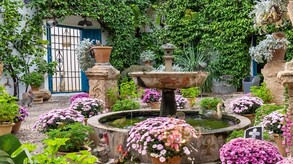 Nature Escapes 3 screenshot thumbnail video