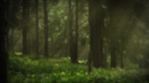 Forsaken Woods Trailer