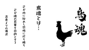 TORIDAMA: Brave Challenge screenshot thumbnail video