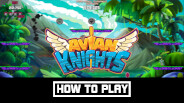 How to Play Avian Knights