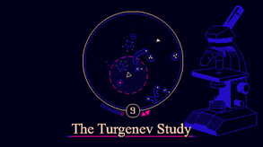 The Turgenev Study screenshot thumbnail video