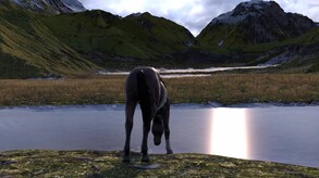 HORSE LIFE:Gameplay trailer