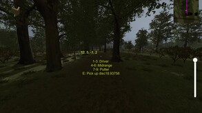 A Peaceful Stroll