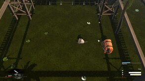 Backswamp Trailer