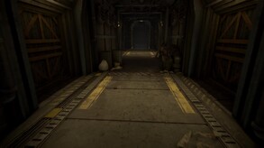 Excavation Update