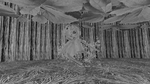 The Forest of Conx og release trailer