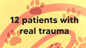 Doctor Cat screenshot thumbnail video