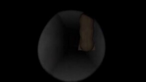 The Infestation Trailer