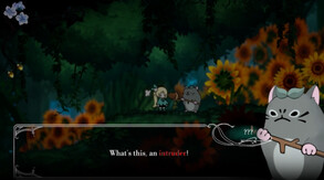 Gameplay