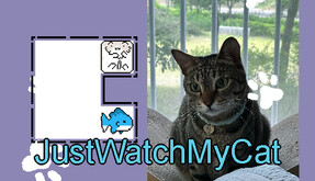 JustWatchMyCatTrailer