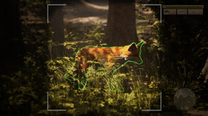Morels: The Hunt-游戏截图