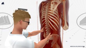 The Anatomy of the Spine. A Virtual Reality Journey Into Your Body’s Backbone