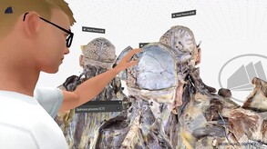 A Journey Through the Human Brain