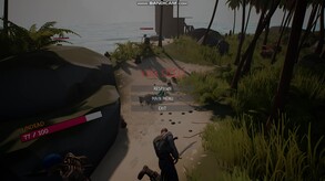 Survival on a deserted island