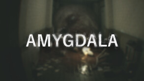 Amygdala - Official Announcement Teaser 2023