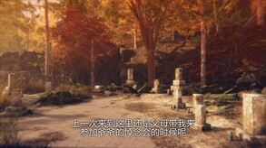 Hollow Cocoon-游戏截图